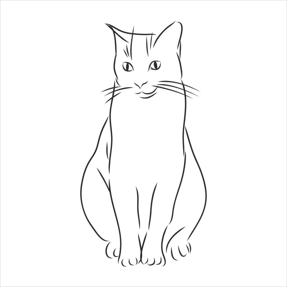cat vector sketch