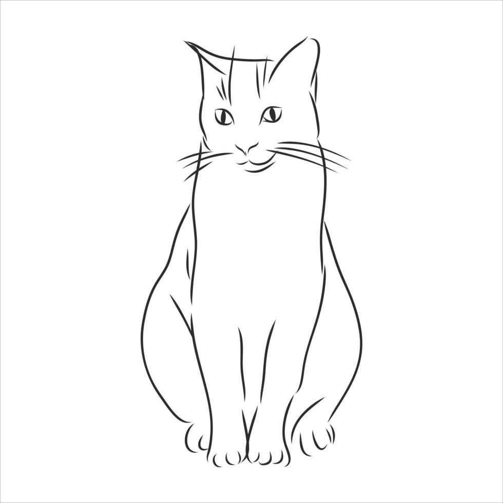 bosquejo del vector del gato