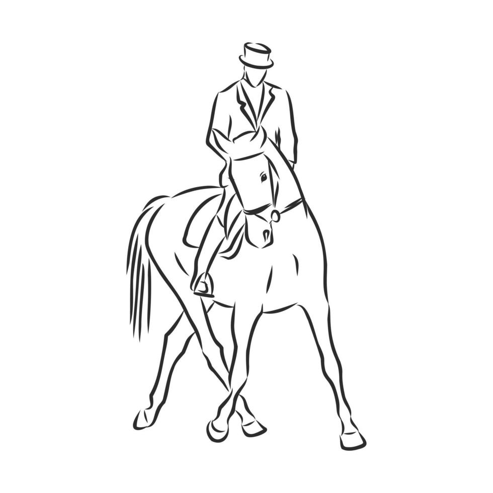 bosquejo del vector del entrenamiento del caballo