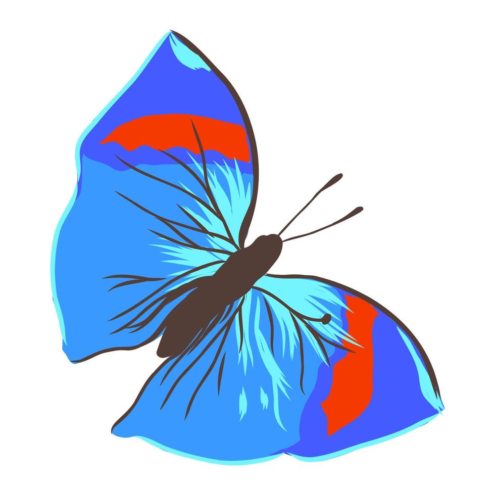 bosquejo del vector de la mariposa