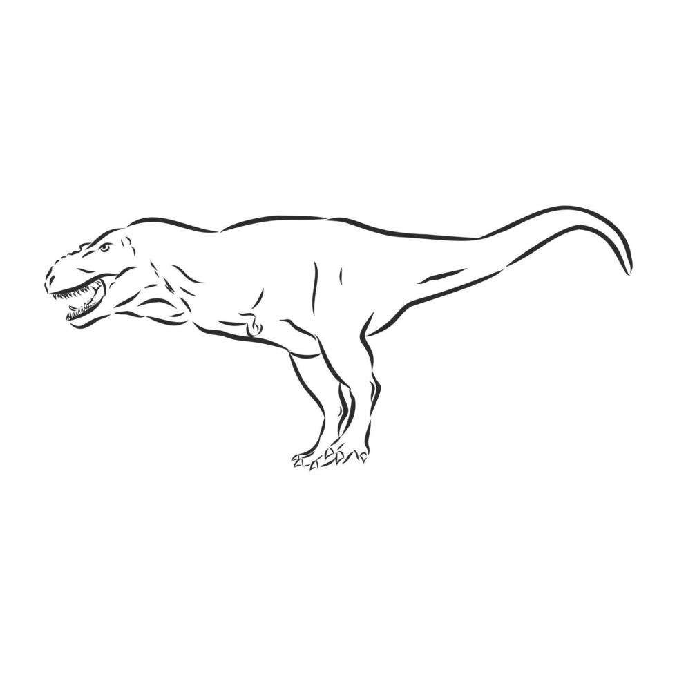 dibujo vectorial de dinosaurio vector