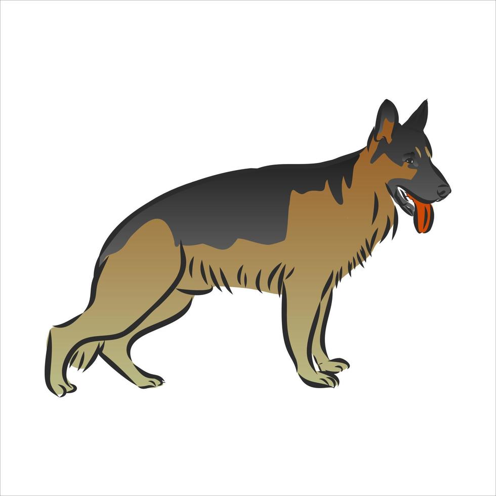 dog vector sketch