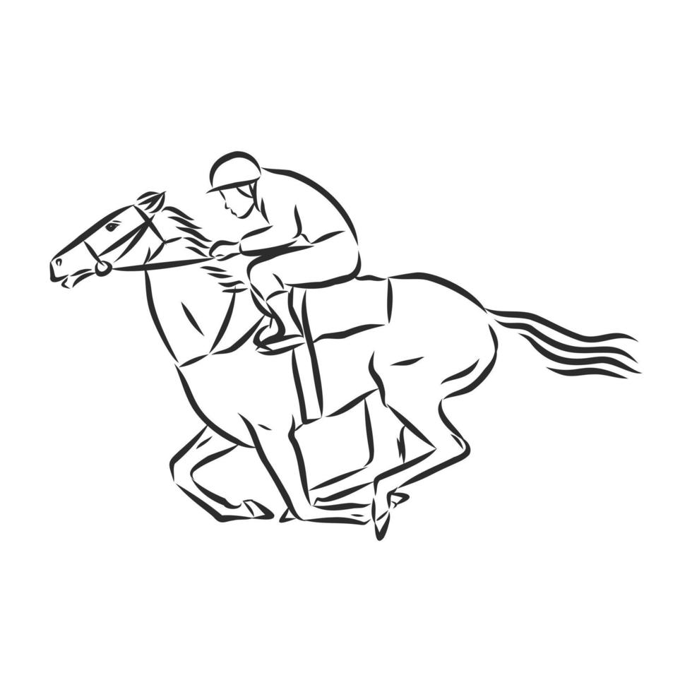 horse training vector sketch