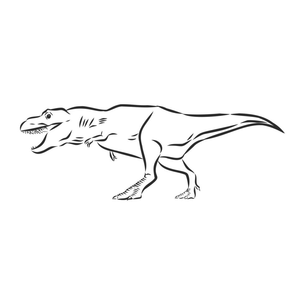 dibujo vectorial de dinosaurio vector