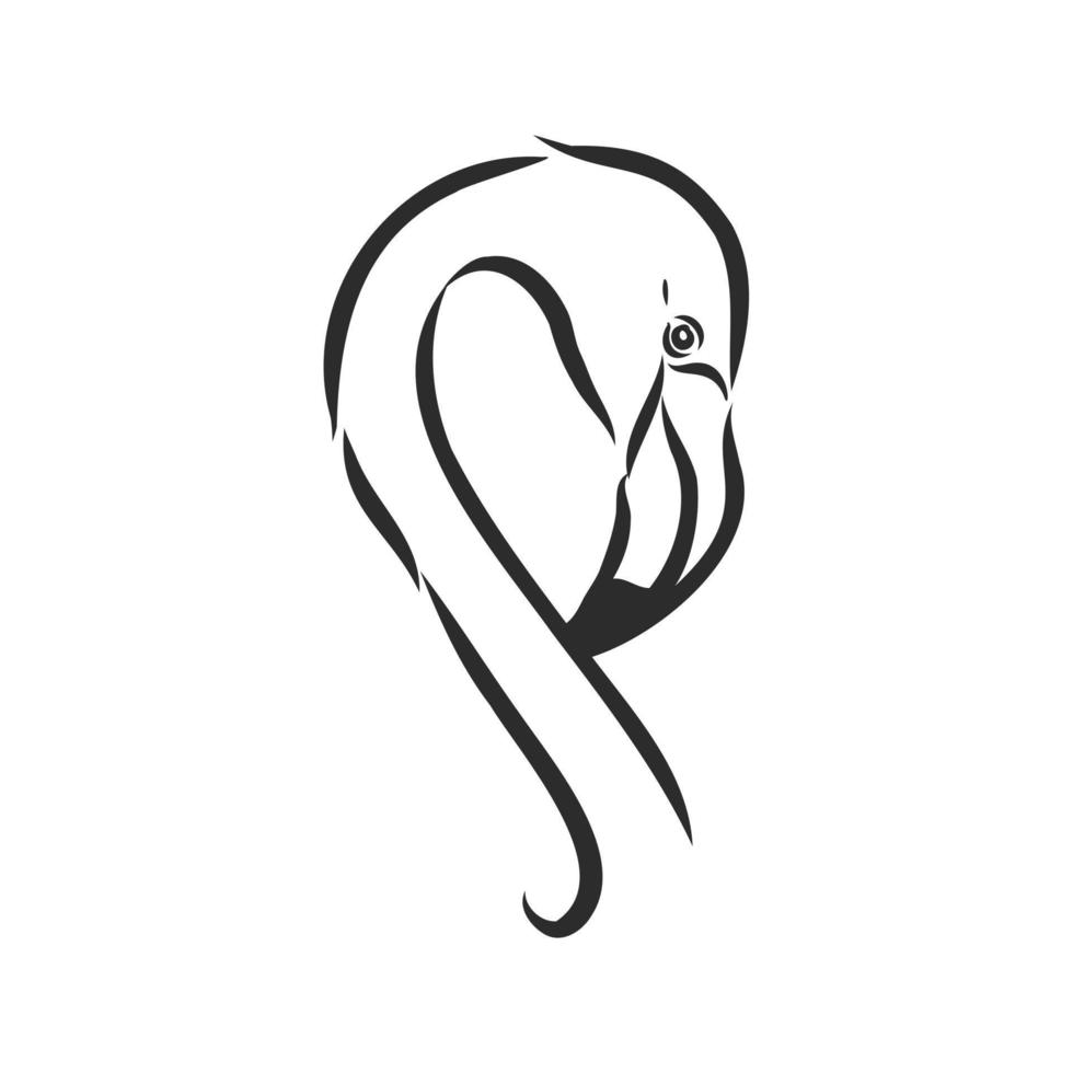 flamingo vector sketch