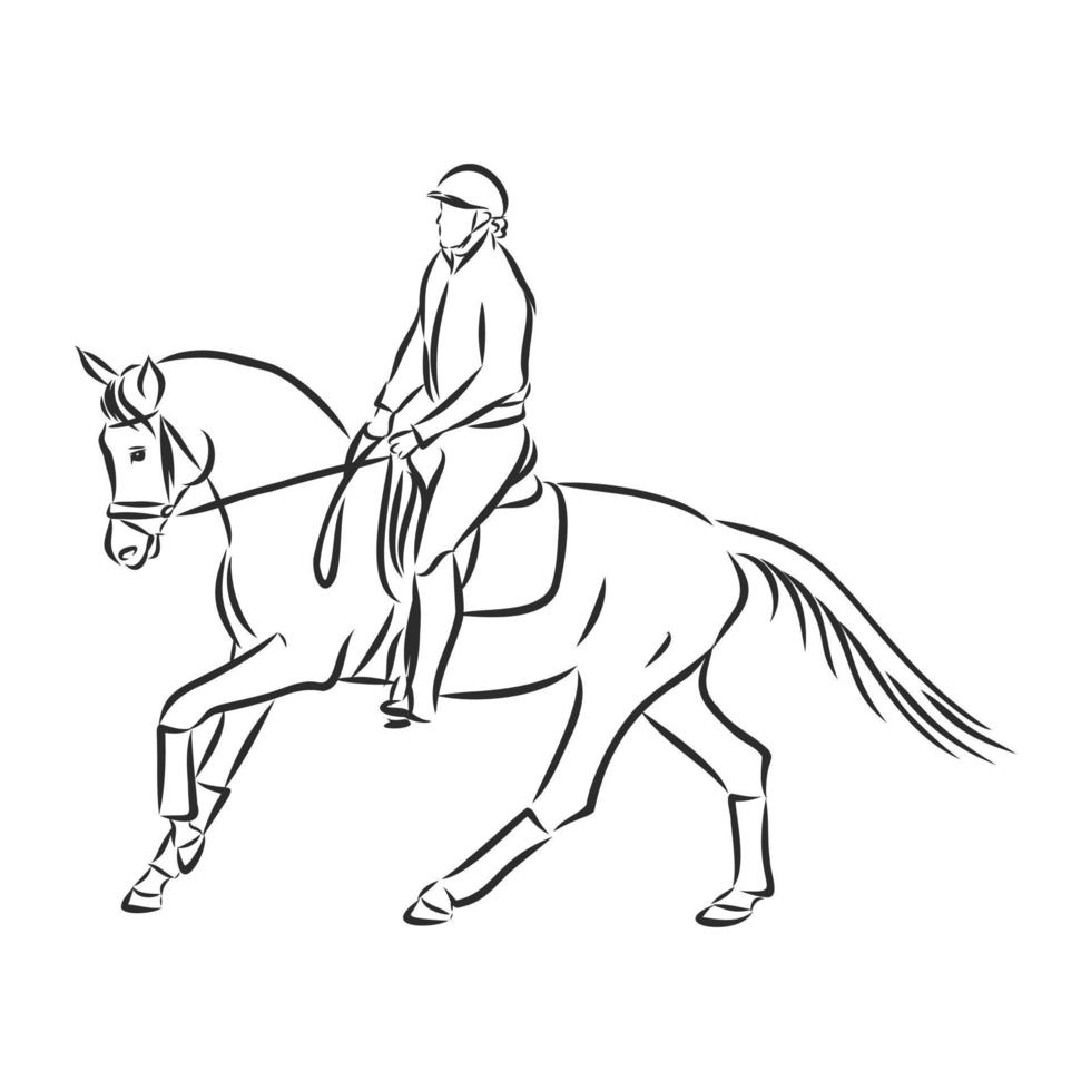 bosquejo del vector del entrenamiento del caballo