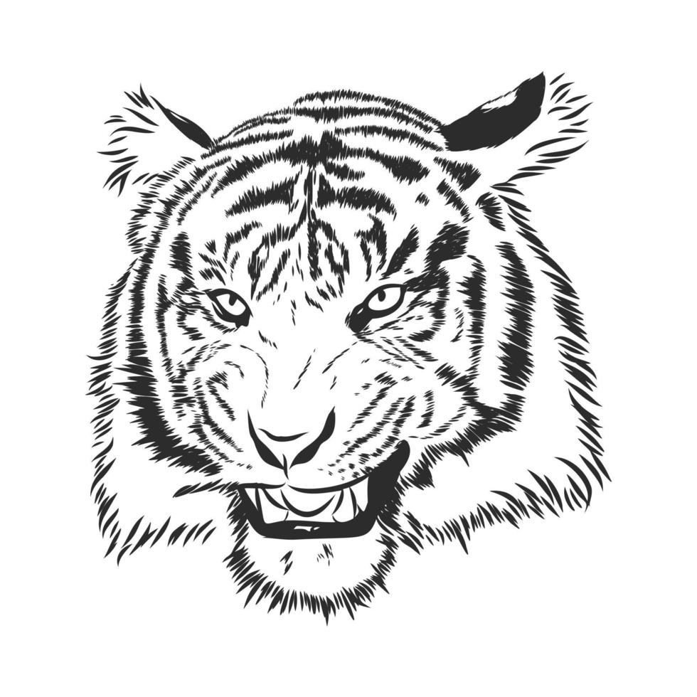 bosquejo del vector del tigre