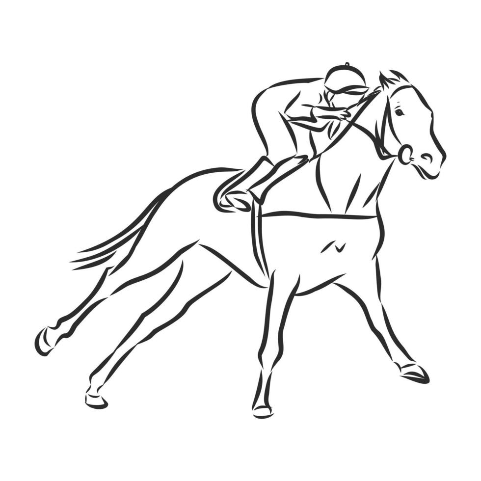 bosquejo del vector del entrenamiento del caballo