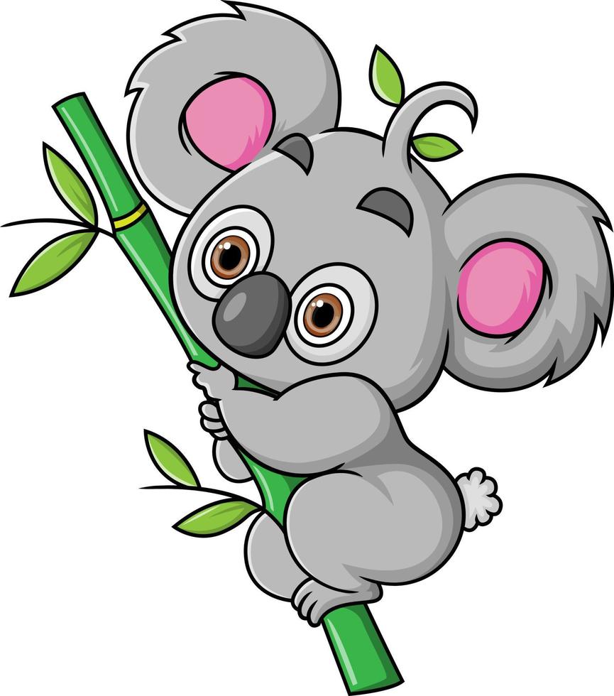 The cute koala is climbing the bamboo tree to get food vector