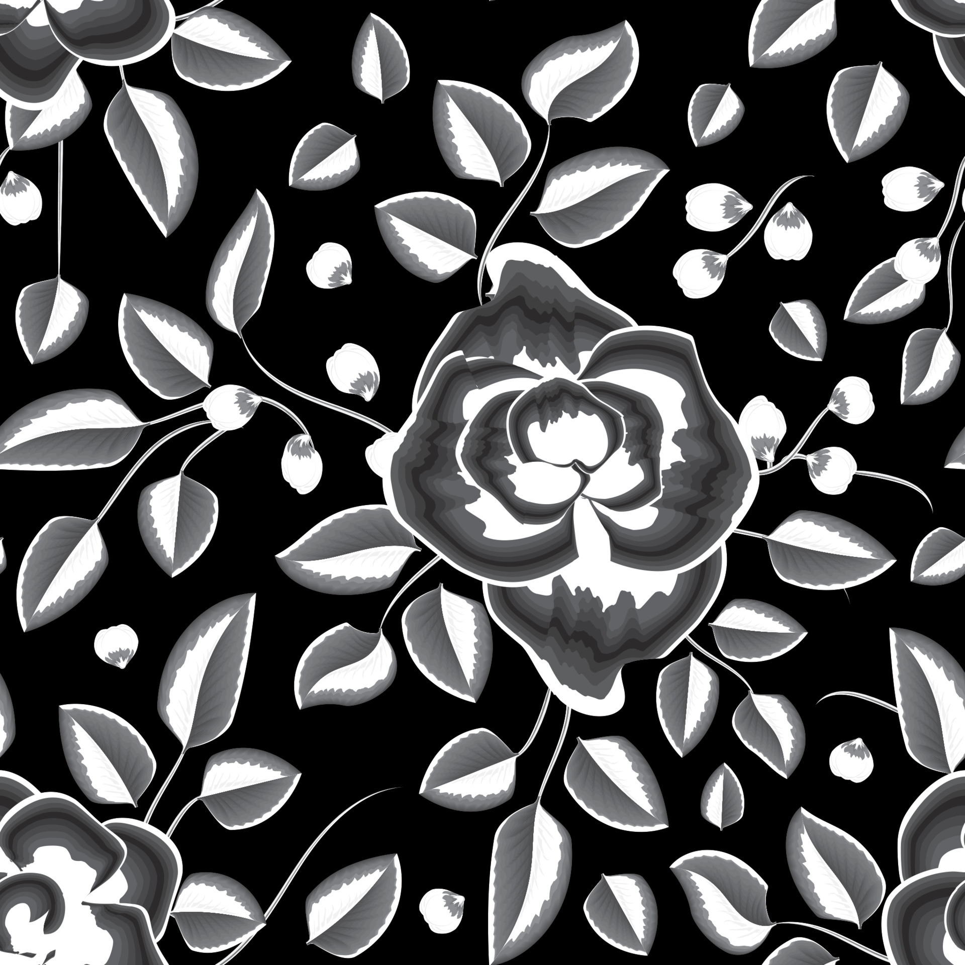 Buy Black and White Monochromatic Floral Peony Wallpaper Online in India   Etsy