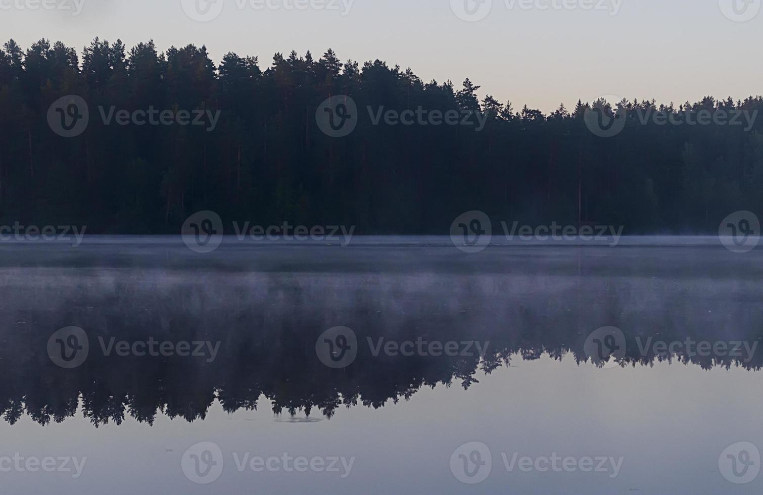 niebla matutina en el lago. árboles de reflexión sobre el agua. foto