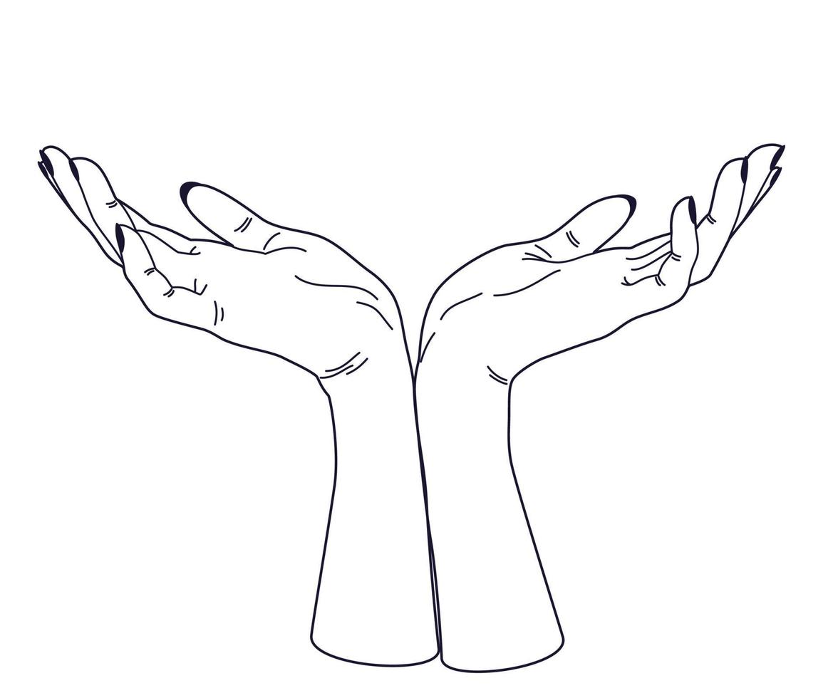 Women's hands. Female hands with various gestures. Perfect for logos, prints, patterns, posters and other designs. Vector illustration fashionable minimalistic linear style.