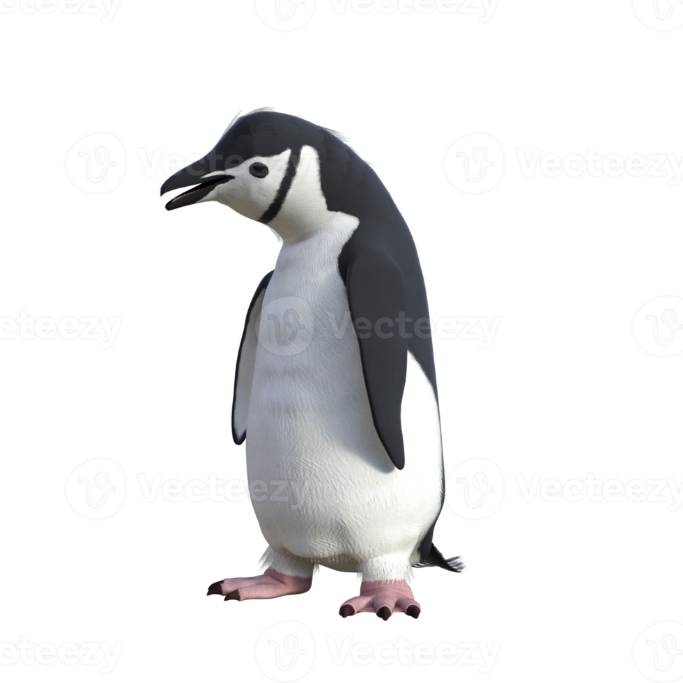 3d Penguin model illustration png