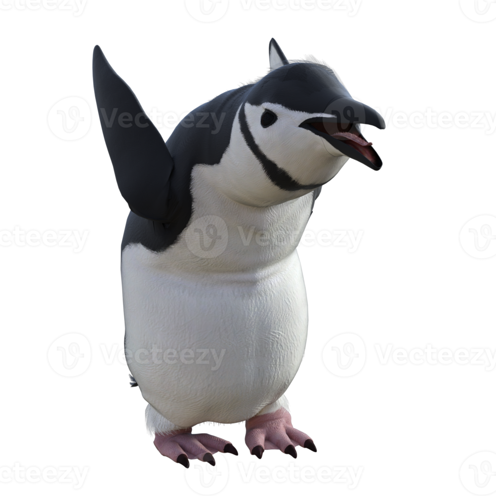 3d Penguin model illustration png