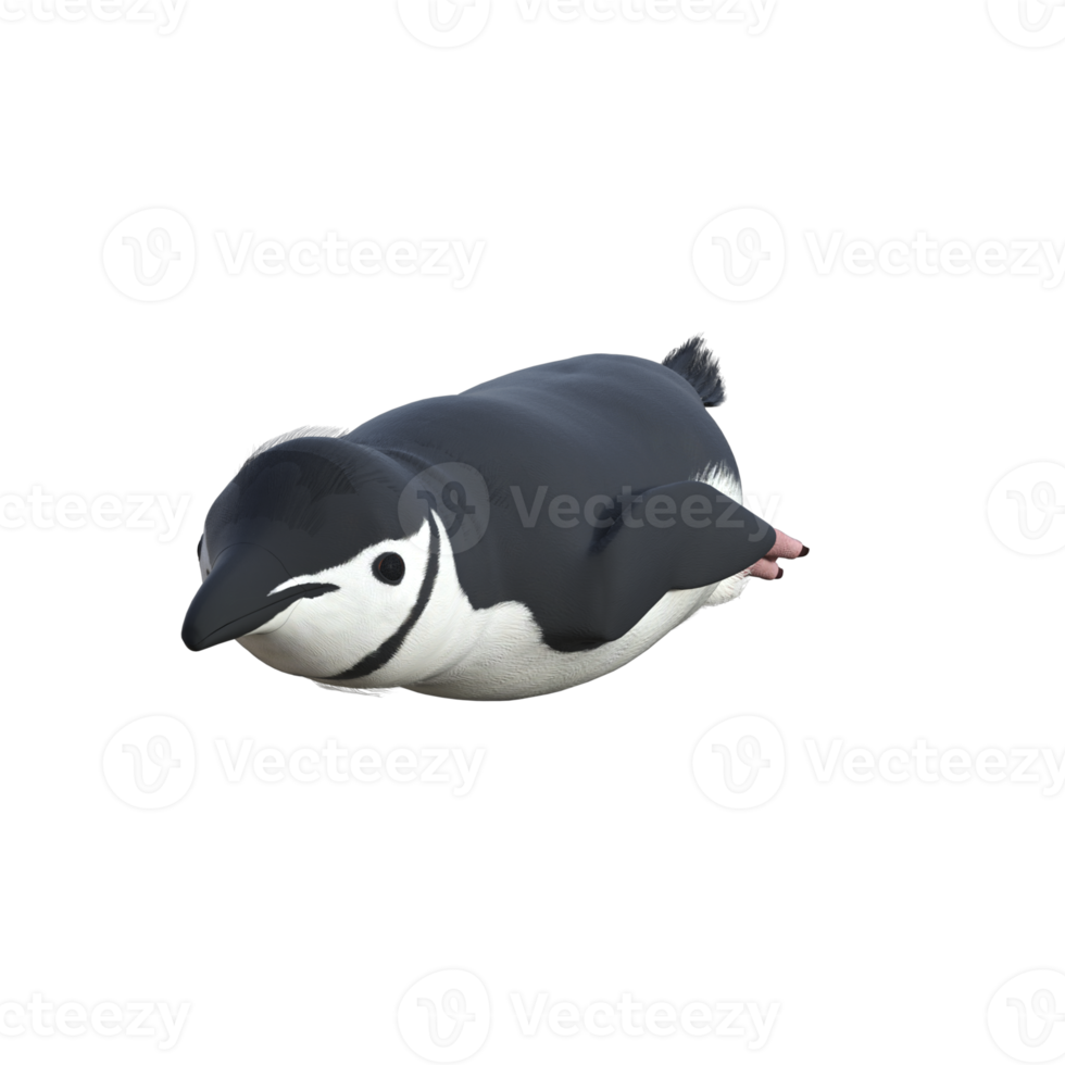 3d pinguïn model- illustratie png