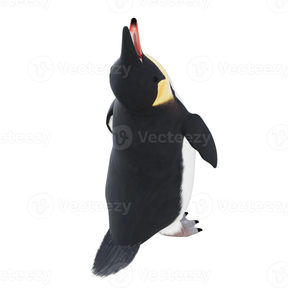 3d Penguin model illustration png