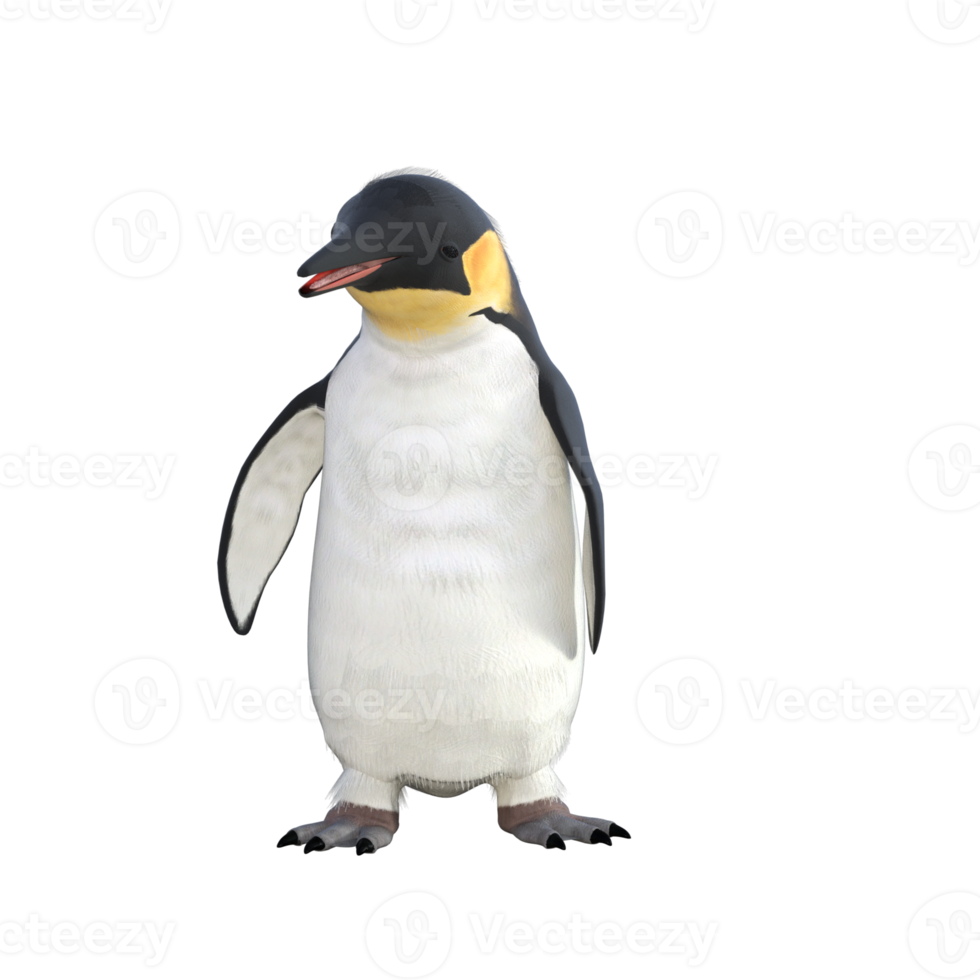 3d pinguïn model- illustratie png