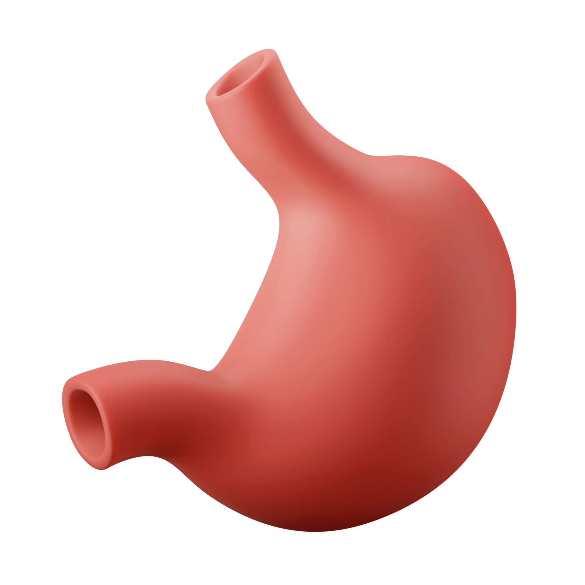 anatomie menselijk maag intern orgaan 3d icoon illustratie 11098068 PNG Biology Diagrams