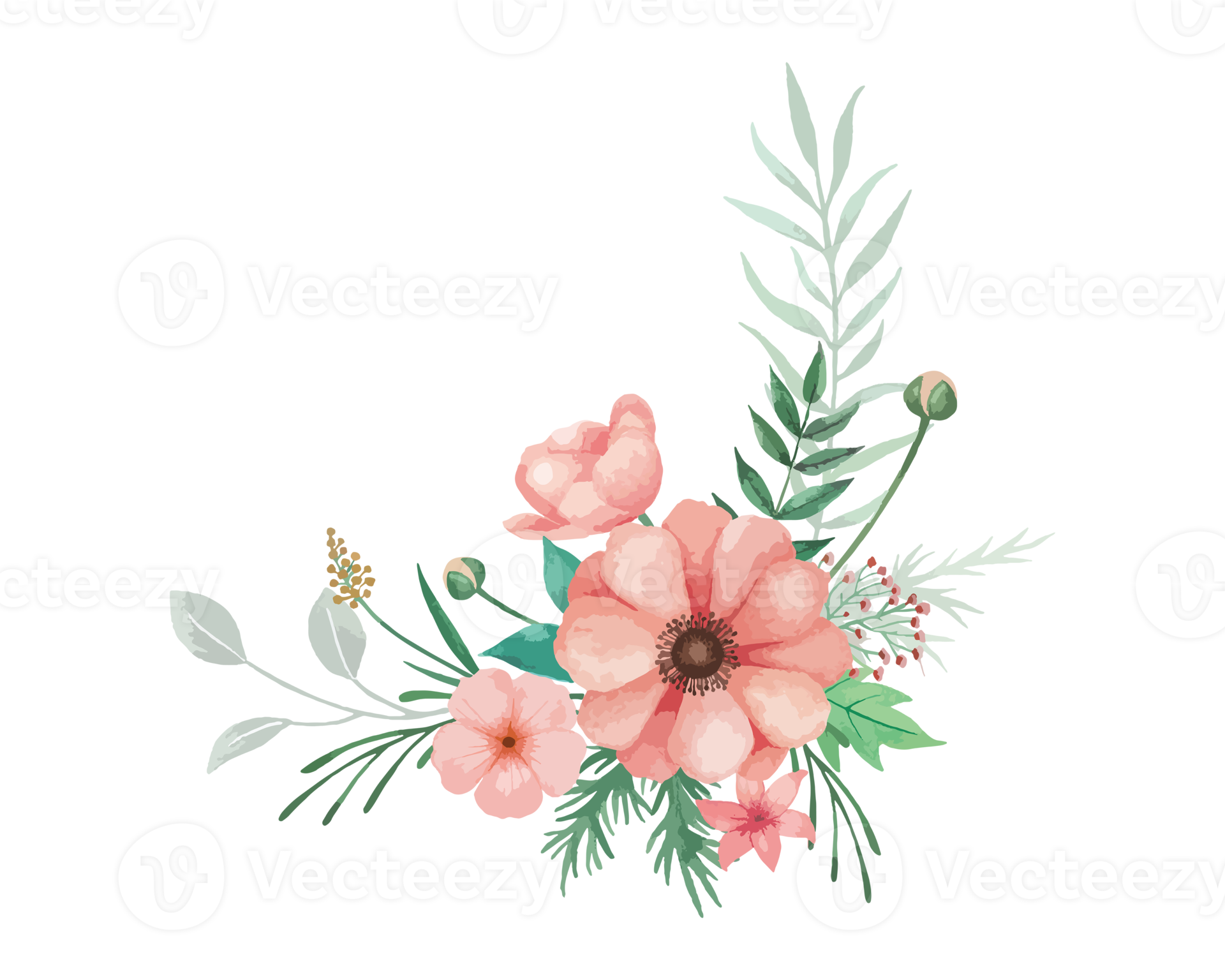 Watercolor Coral Anemone Flowers Bouquet Illustration 11098204 PNG