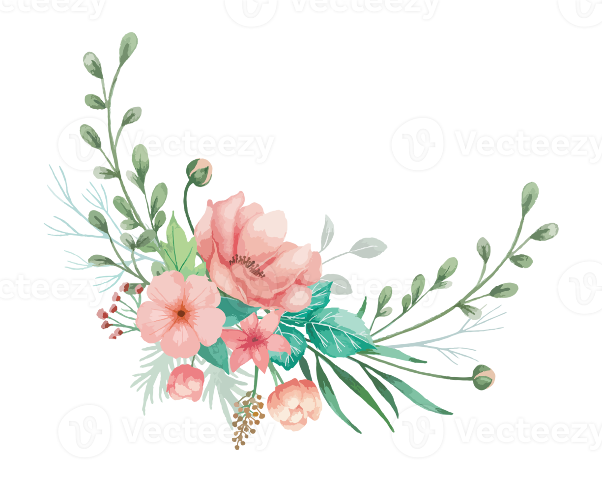 Watercolor Coral Anemone Flowers Bouquet Illustration png