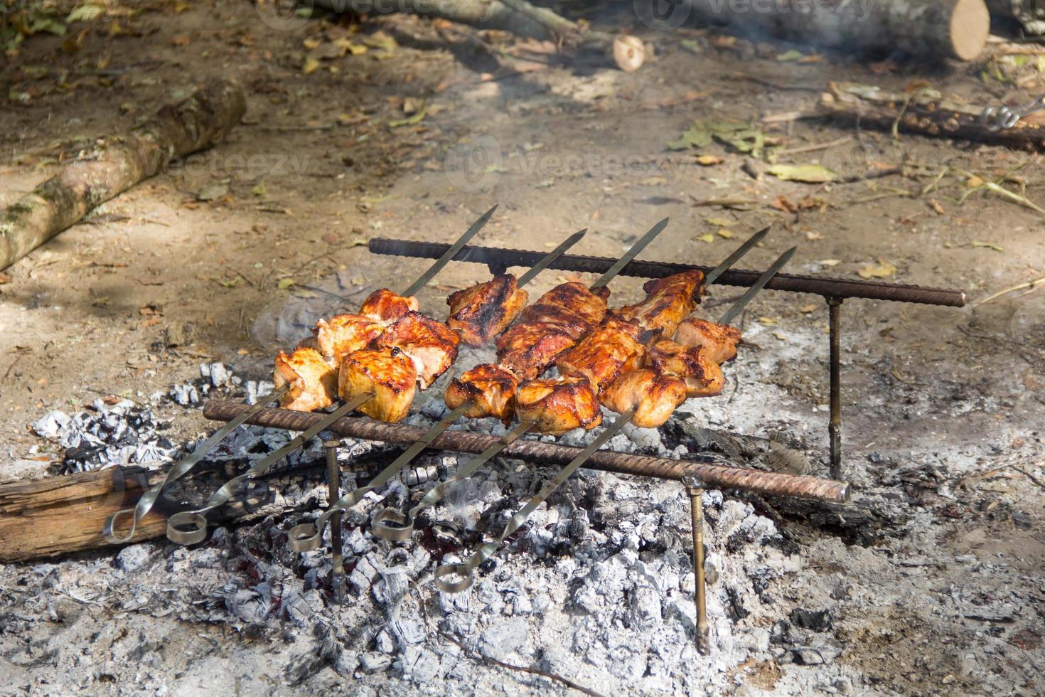 Pork Kebab Shashlik Skewers Barbecue on picnic photo
