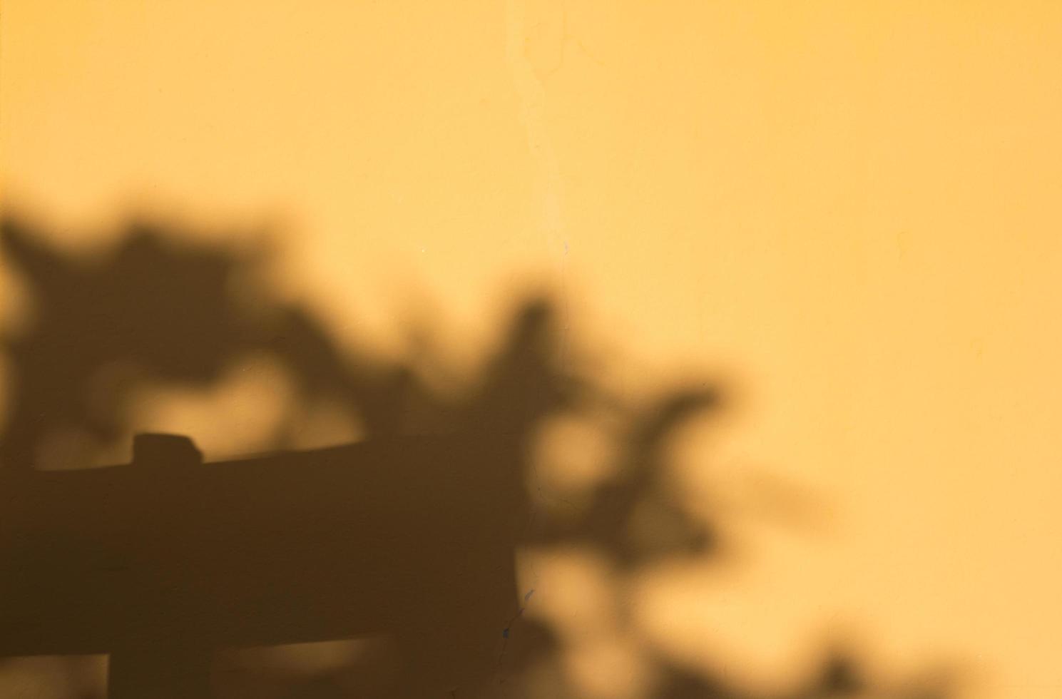 Shadow from the leaves, ready to use. photo