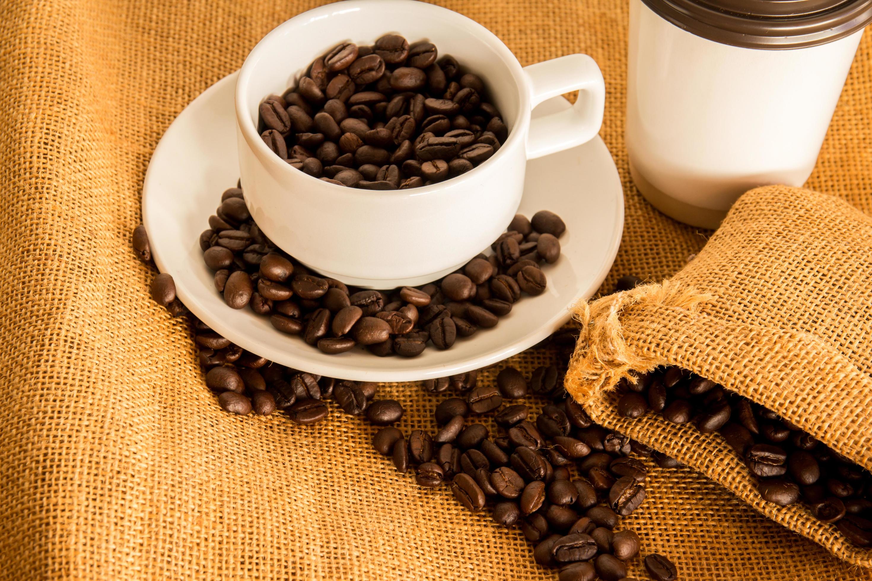 coffee cup and coffee beans 11098796 Stock Photo at Vecteezy
