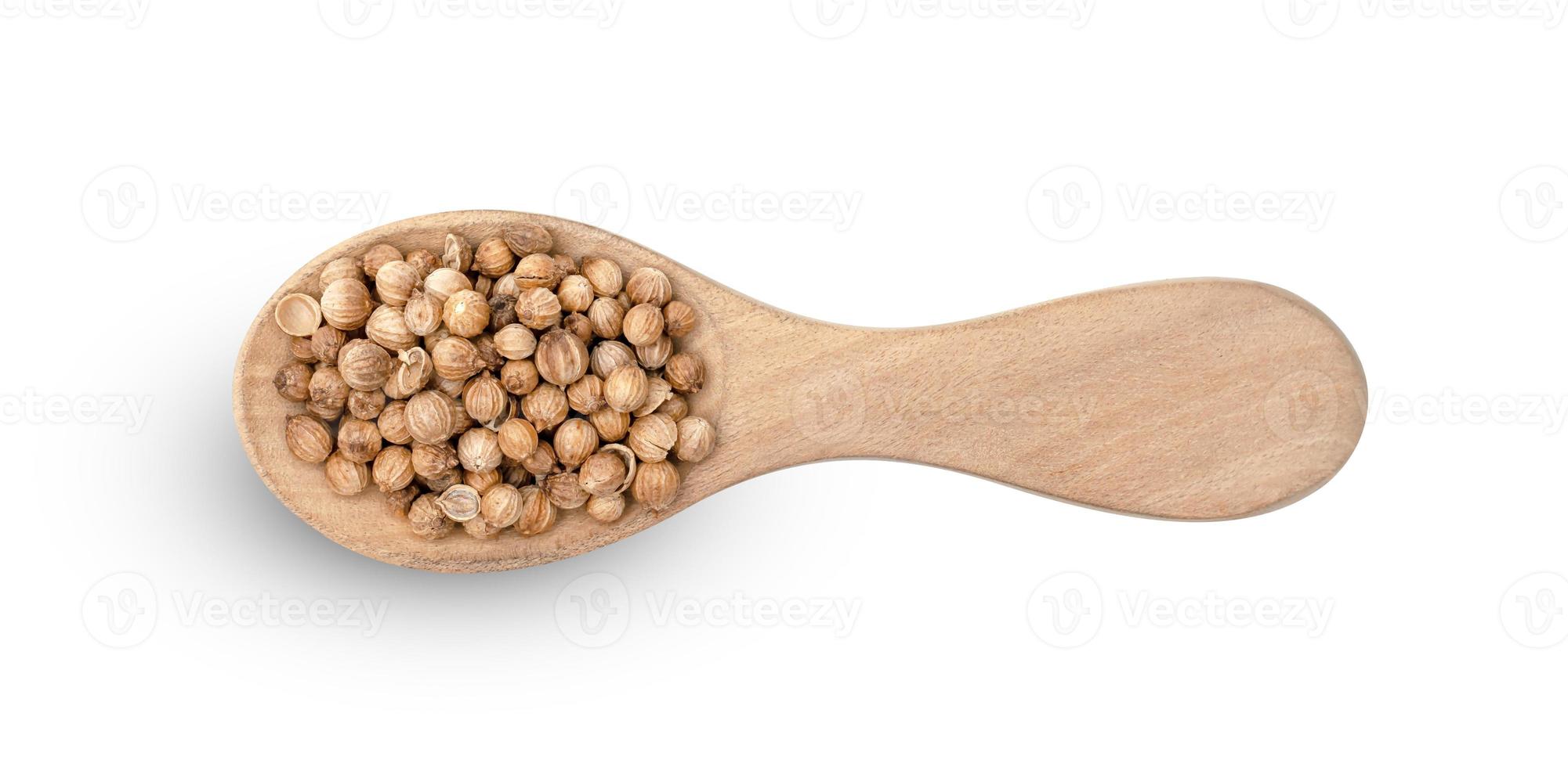 dried coriander seeds in wooden spoon isolated on white background ,include clipping path photo