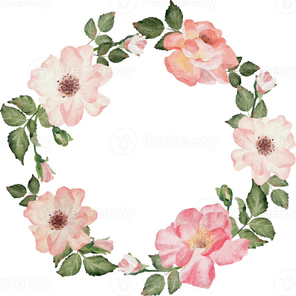 akvarell blommande ros gren blomma bukett krans ram clipart png