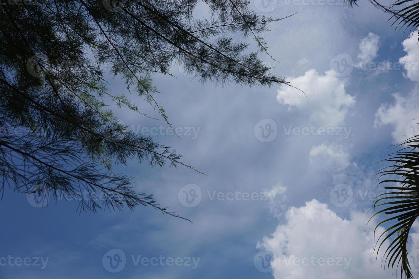 Blue sky with cloud photo
