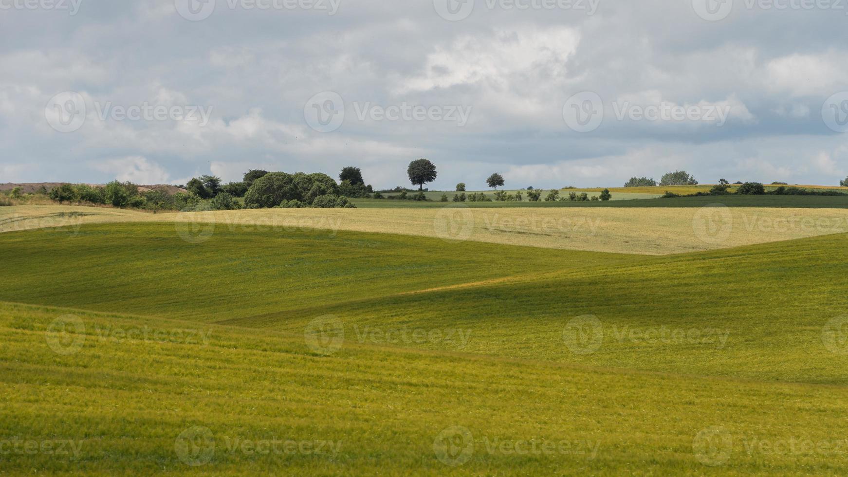 Overlapping hills on the island of Fyn in Denmark. photo