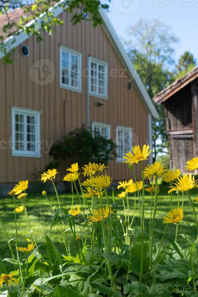A charming Farmhouse surrounded by flowerbeds in Norway. photo
