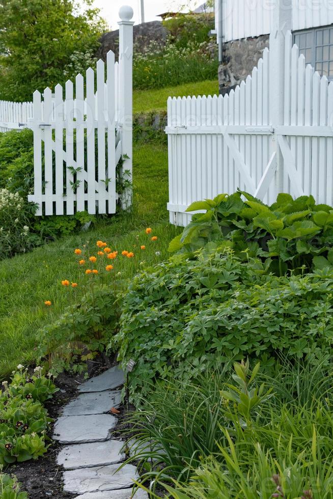 A path through a garden surrounded by a white fence in Lofoten, Norway. photo