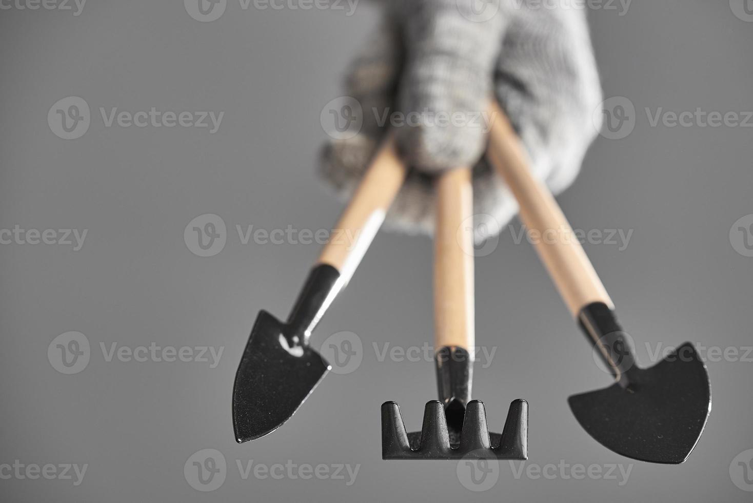 Hand in a glove holding gardening tools isolated on gray background. The background in blur. Photo with copy space.