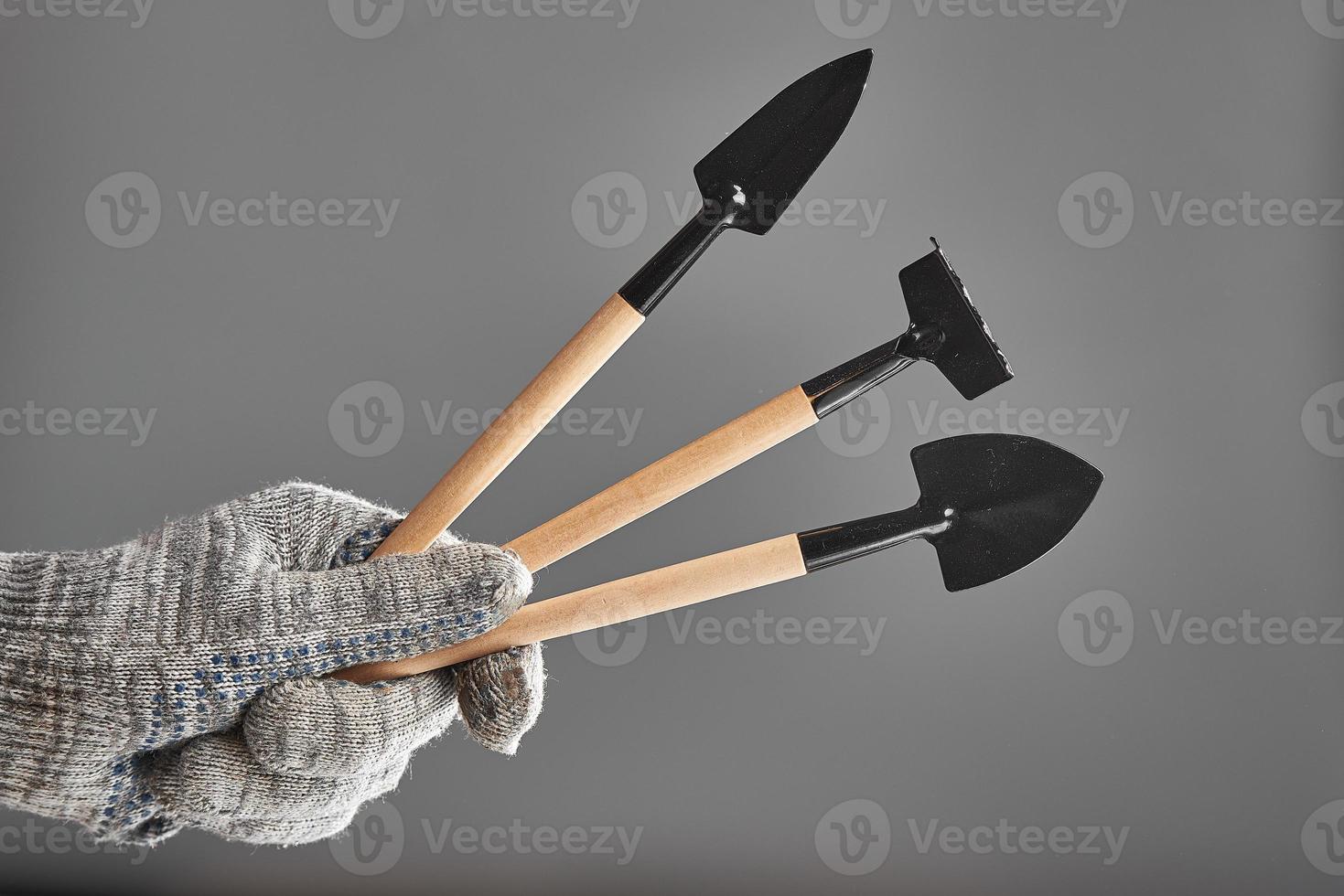 Hand in old glove holding gardening tools isolated on gray background. photo