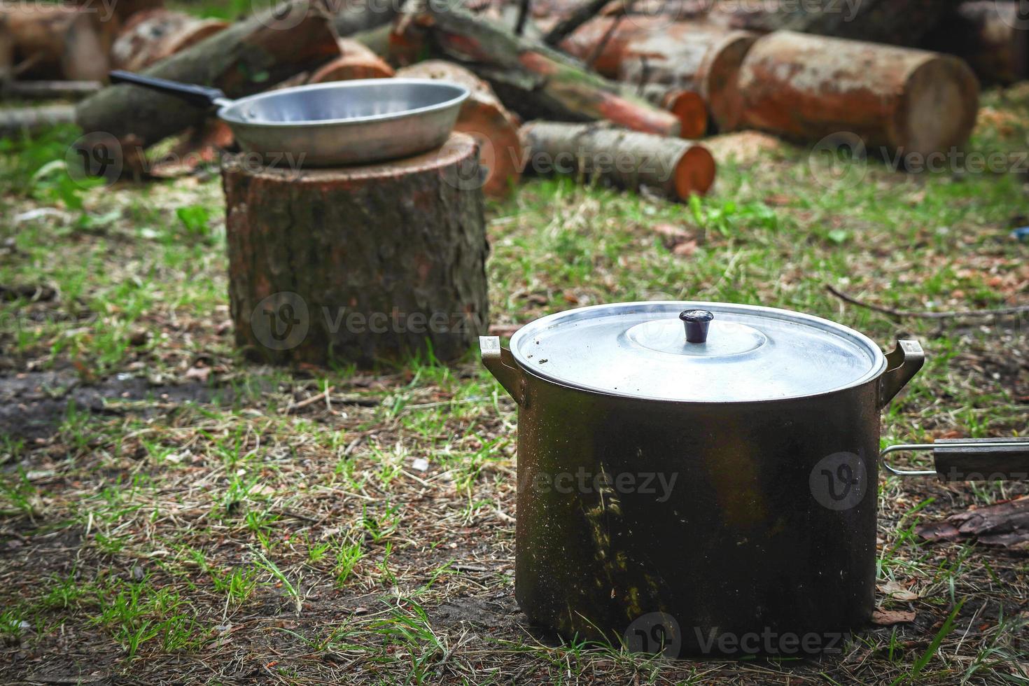Big cooking stewepan standing on grass in nature with a pan on stump on cut wood trunks on background photo