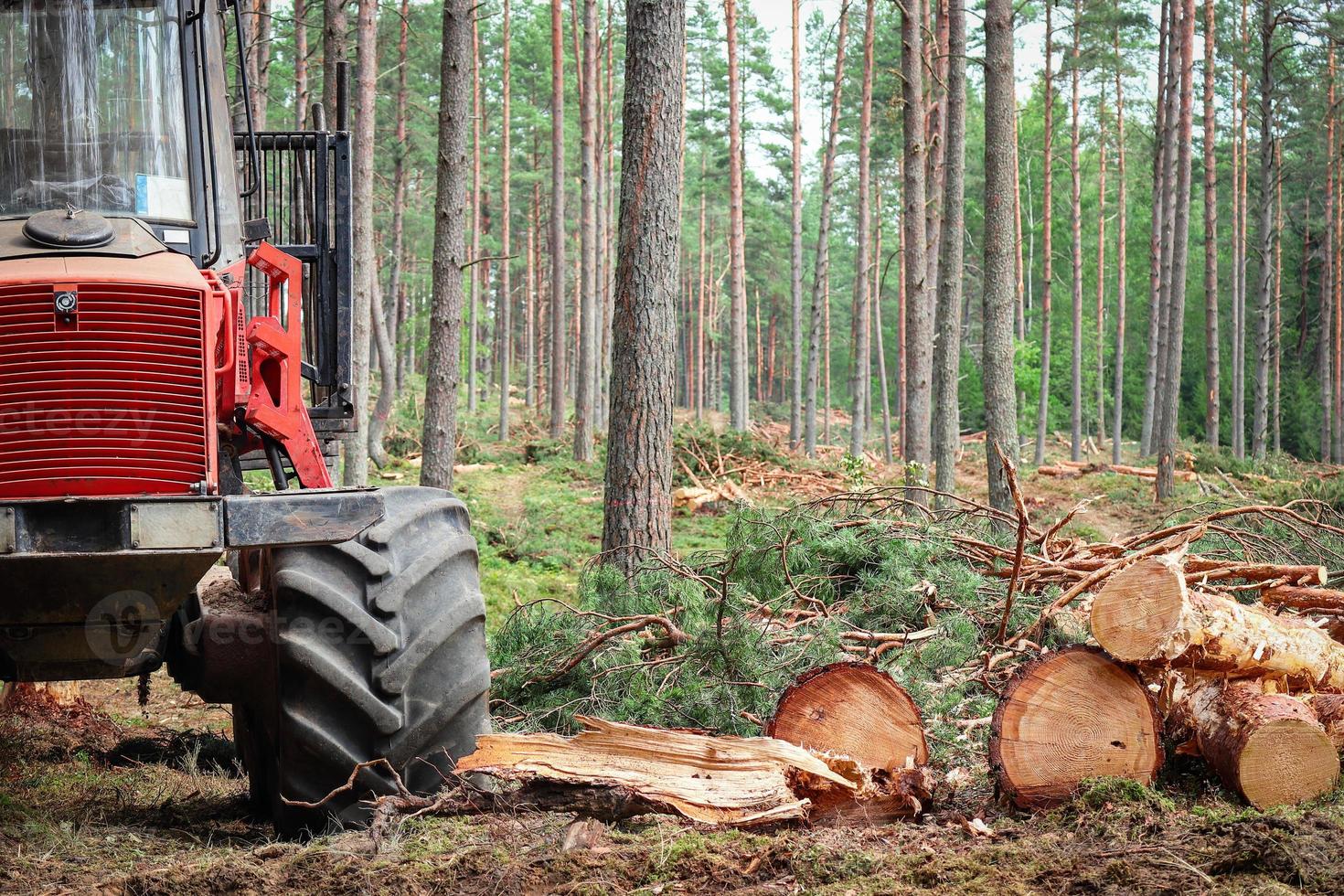 Red forest machine that clears trees in green summer forest standing near cut wood logs surrounded by growing tree trunks photo