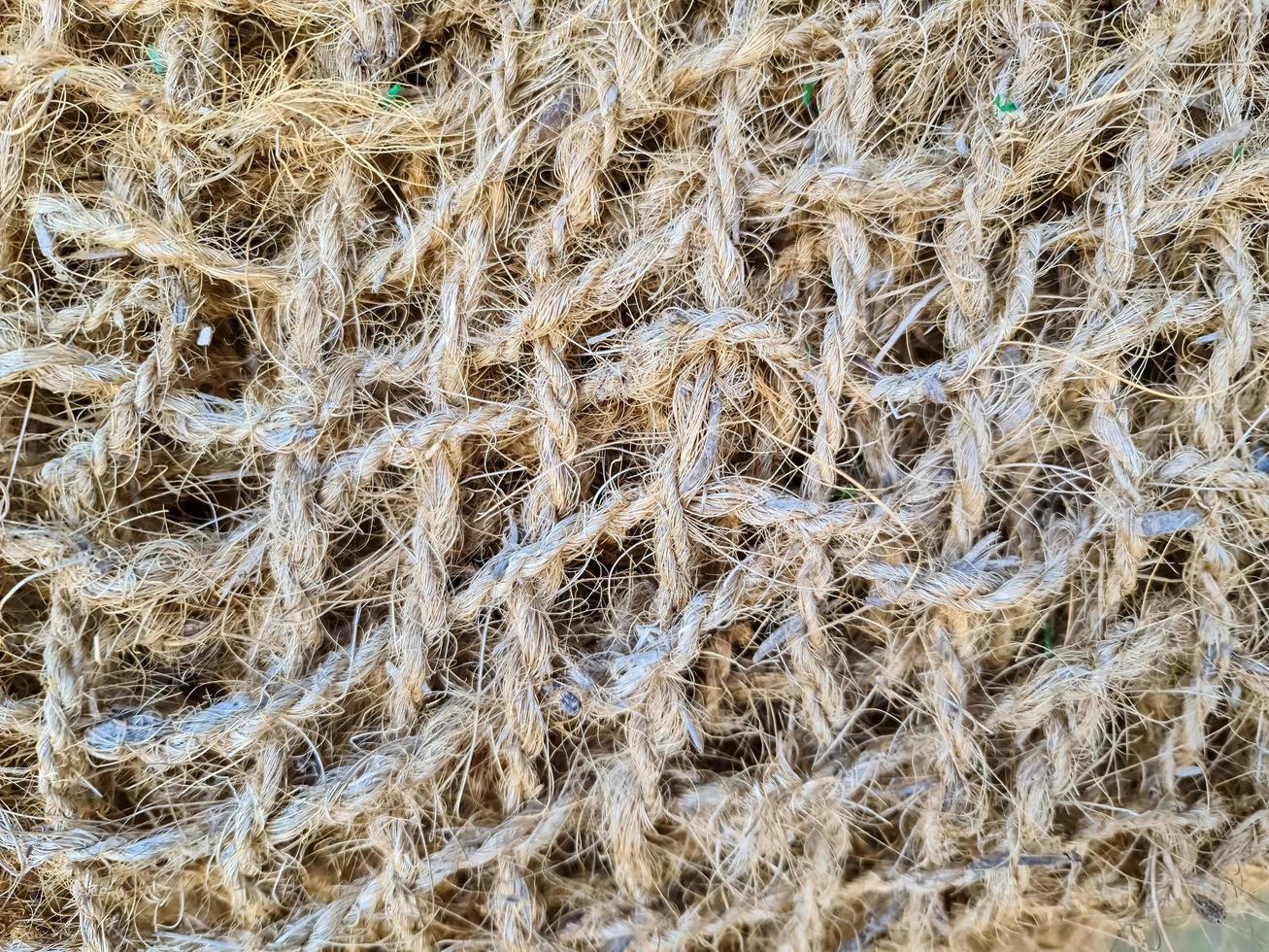 Close up view on a net surface. photo