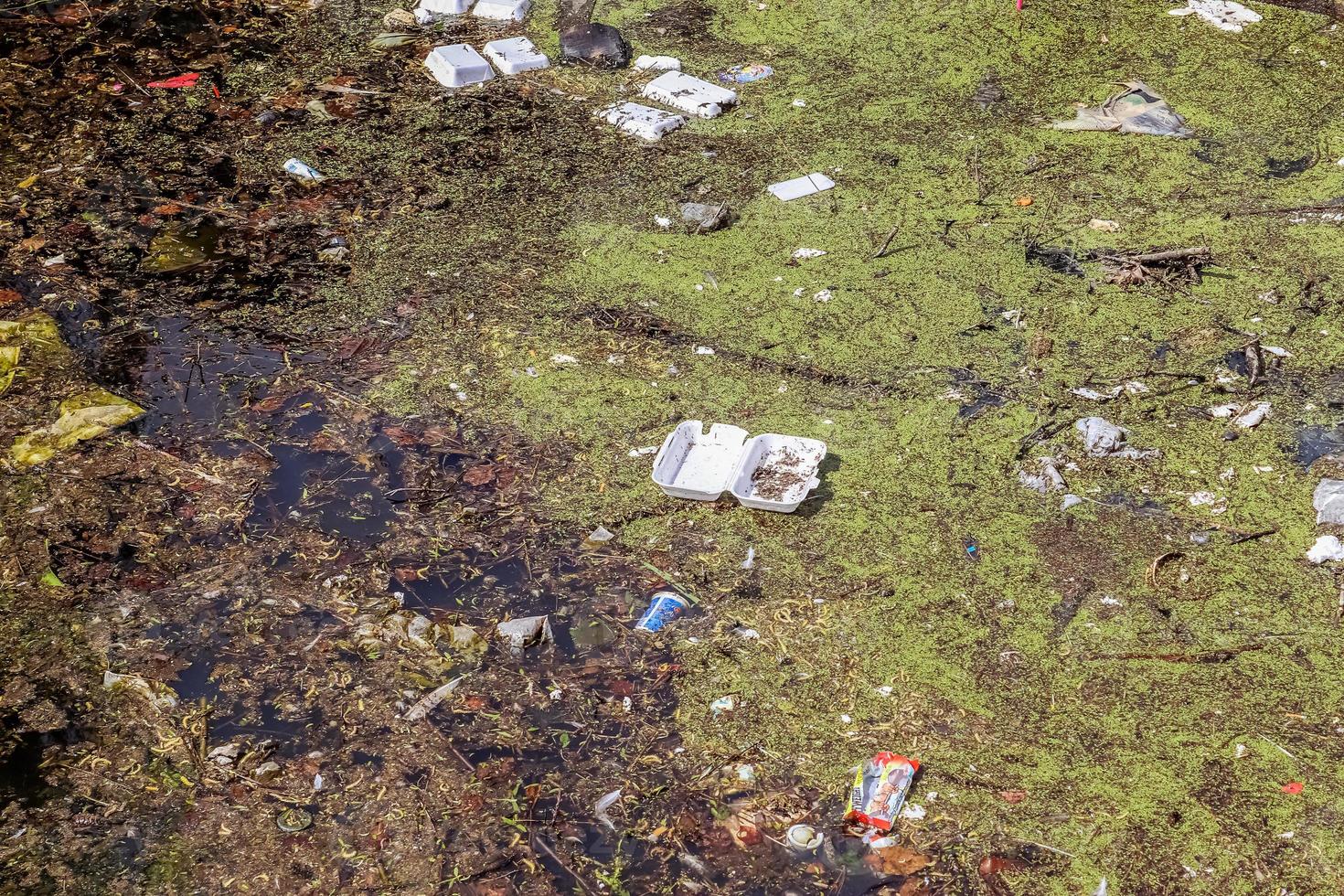 Environmental pollution found at a lake where people dumped their rubbish. photo