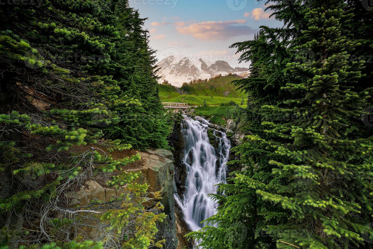 Landscape of Mount Rainier National Park in USA photo