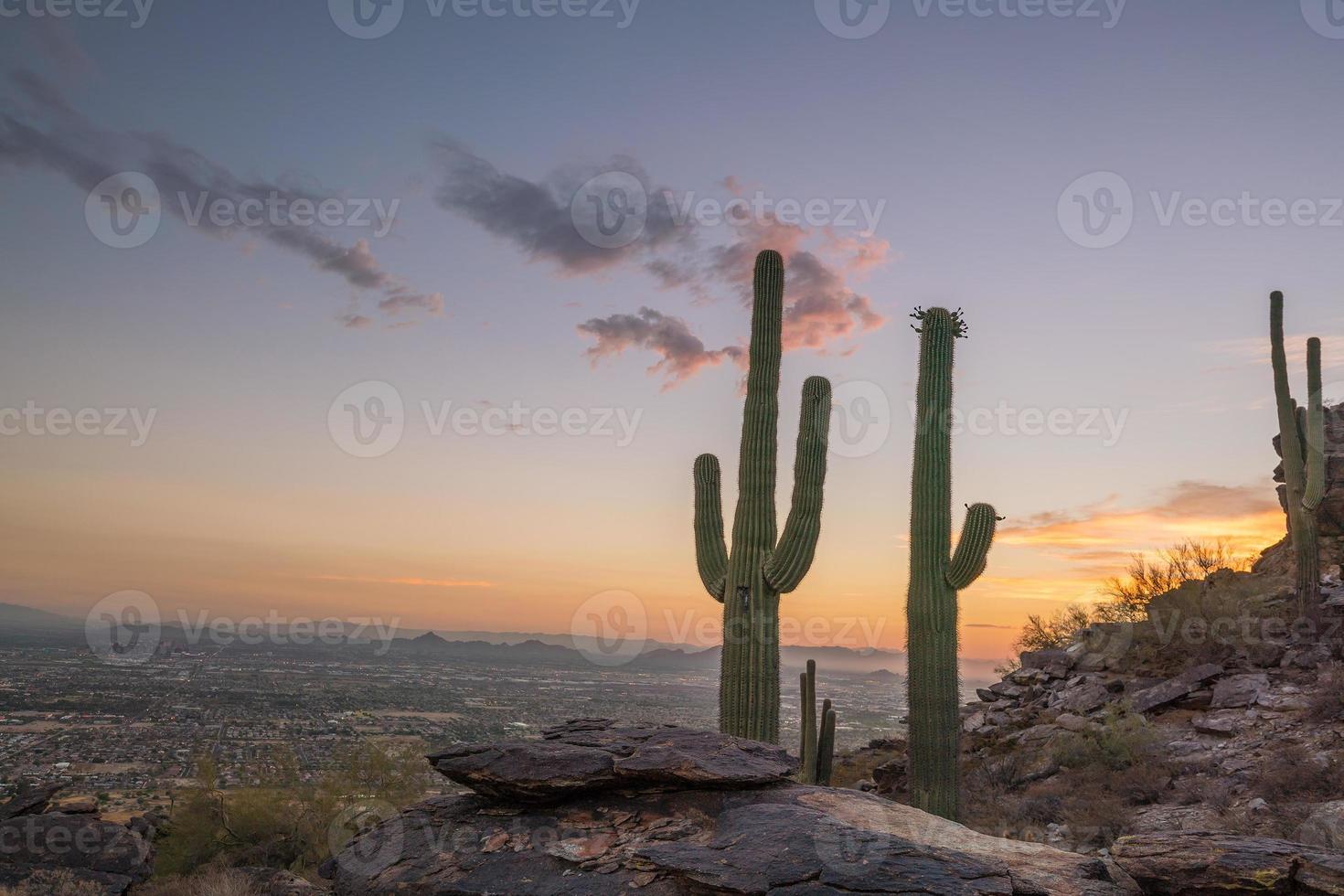 View of Phoenix with  Saguaro cactus photo