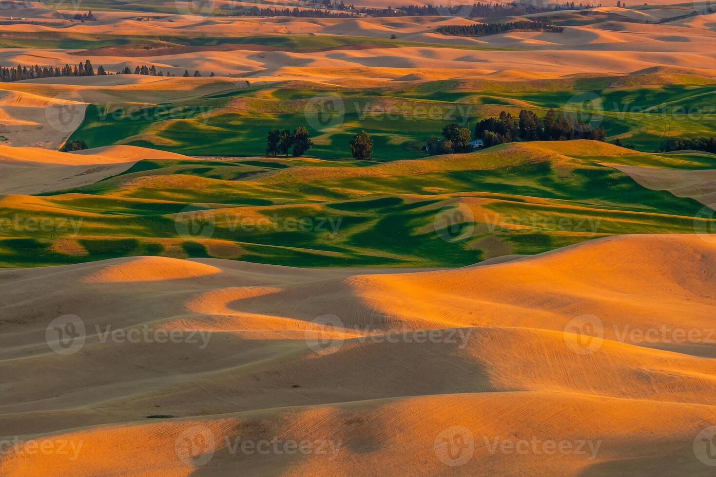 View of Steptoe Butte in the Palouse region, Washington state USA