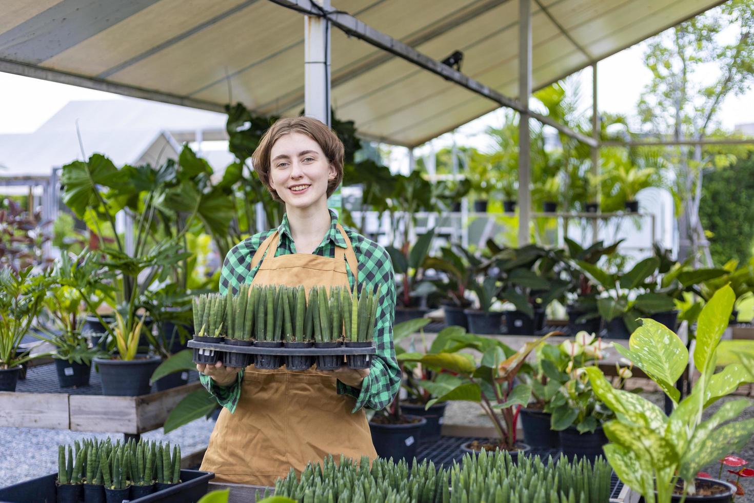 Caucasian gardener is working inside her greenhouse at nursery garden center for native and exotic plant grower concept photo
