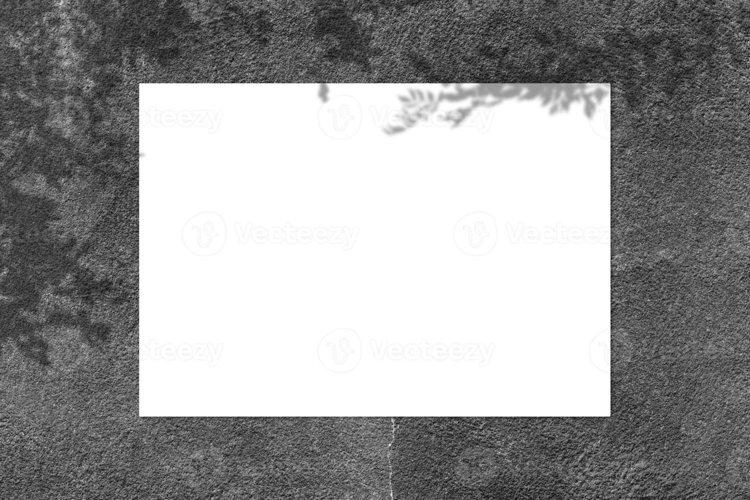 Empty white square poster mockup with light shadow on black concrete wall background. photo