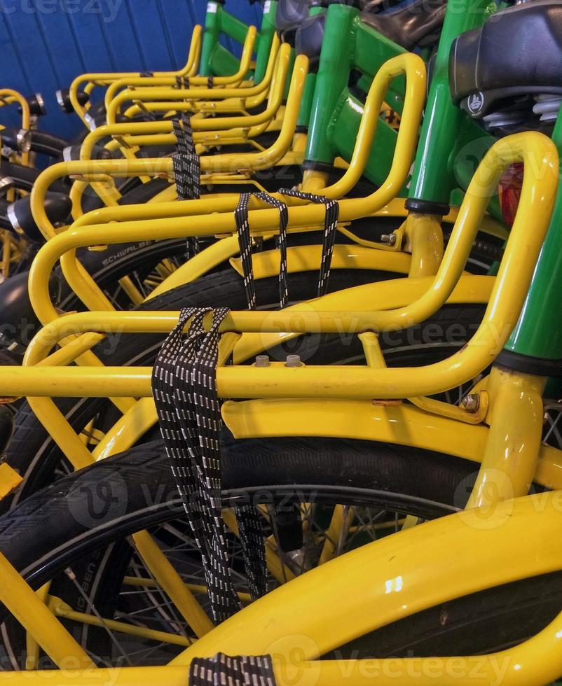 Row of rental bikes in the Netherlands photo