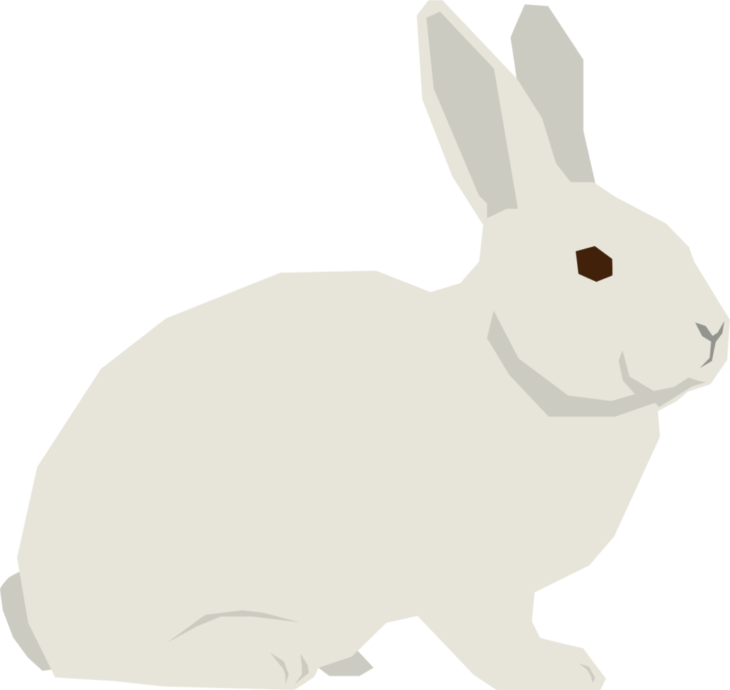 Rabbit animal flat vector design isolated png