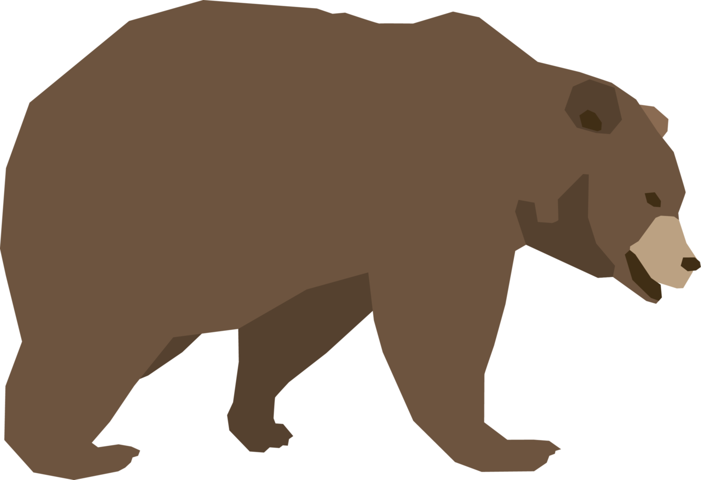 urso design de vetor plano animal isolado png