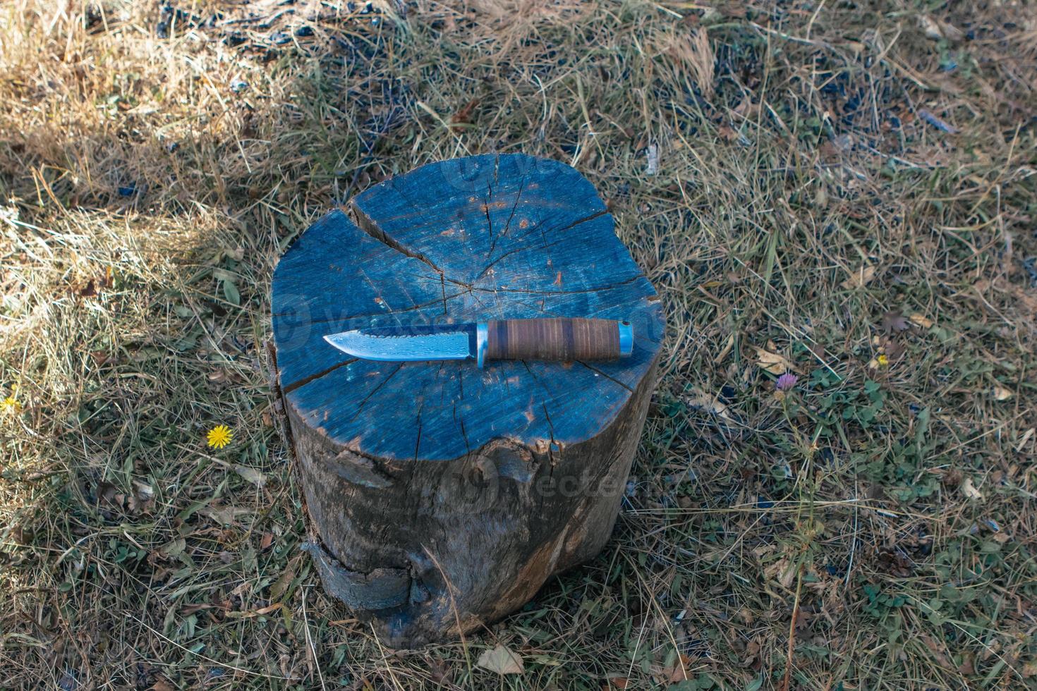 Hunting knife on a wooden surface photo