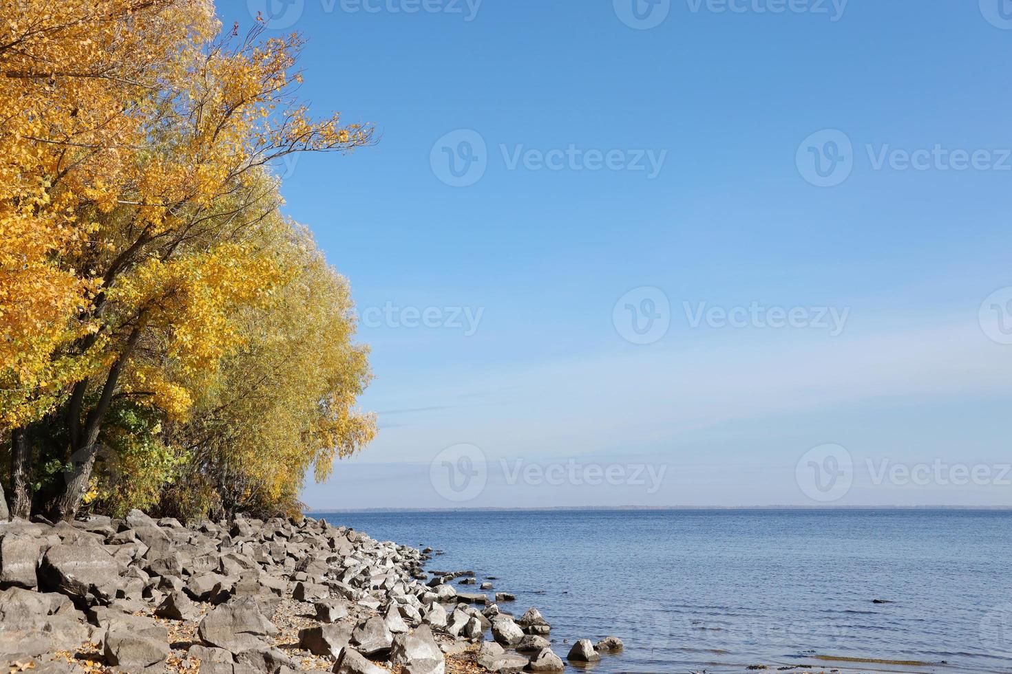 hermoso paisaje otoñal con lago y árboles multicolores. lugar pintoresco con lago y árboles altos foto