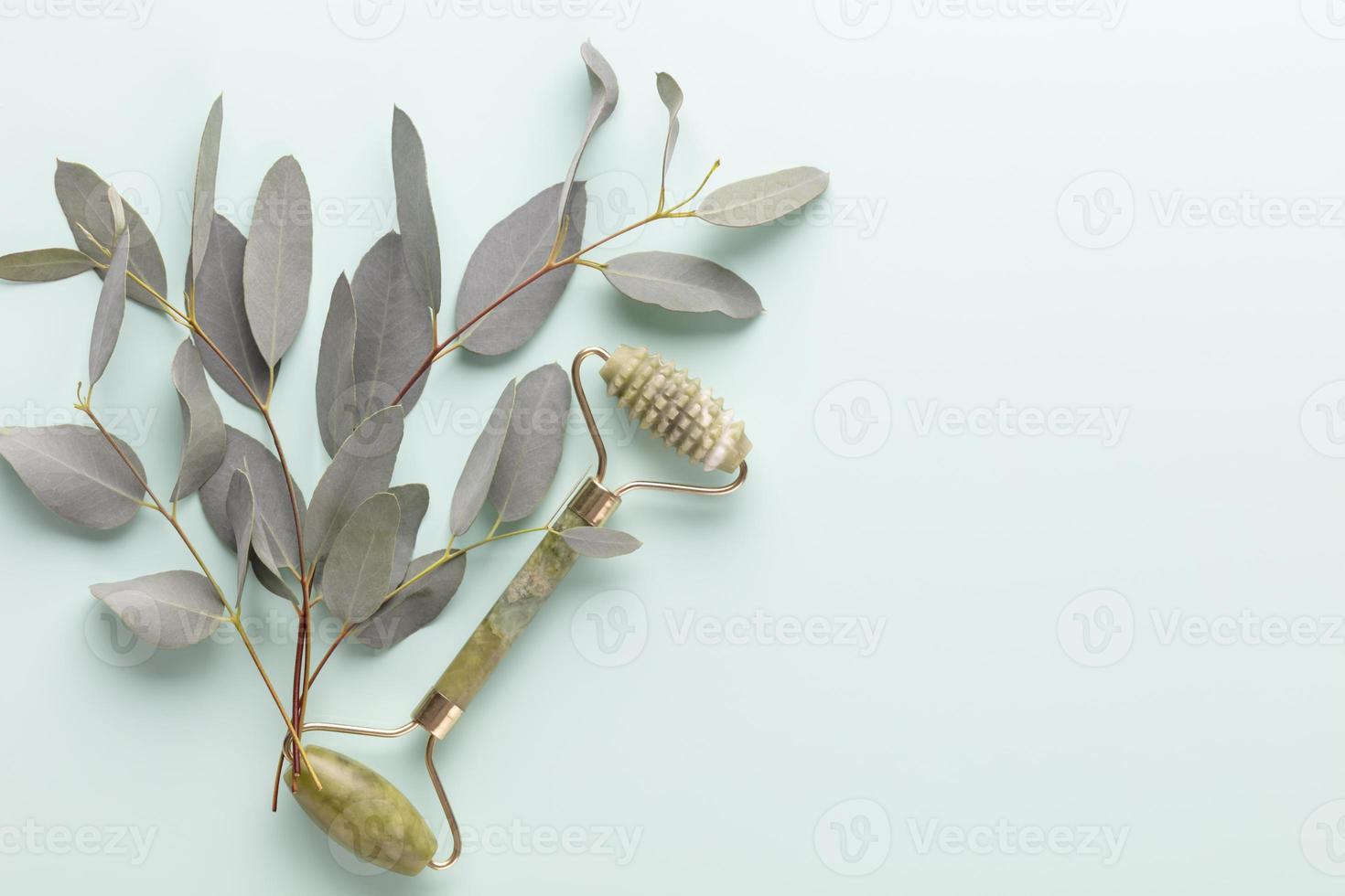 Banner with eucalyptus branches on a blue pastel background. Place for text. photo